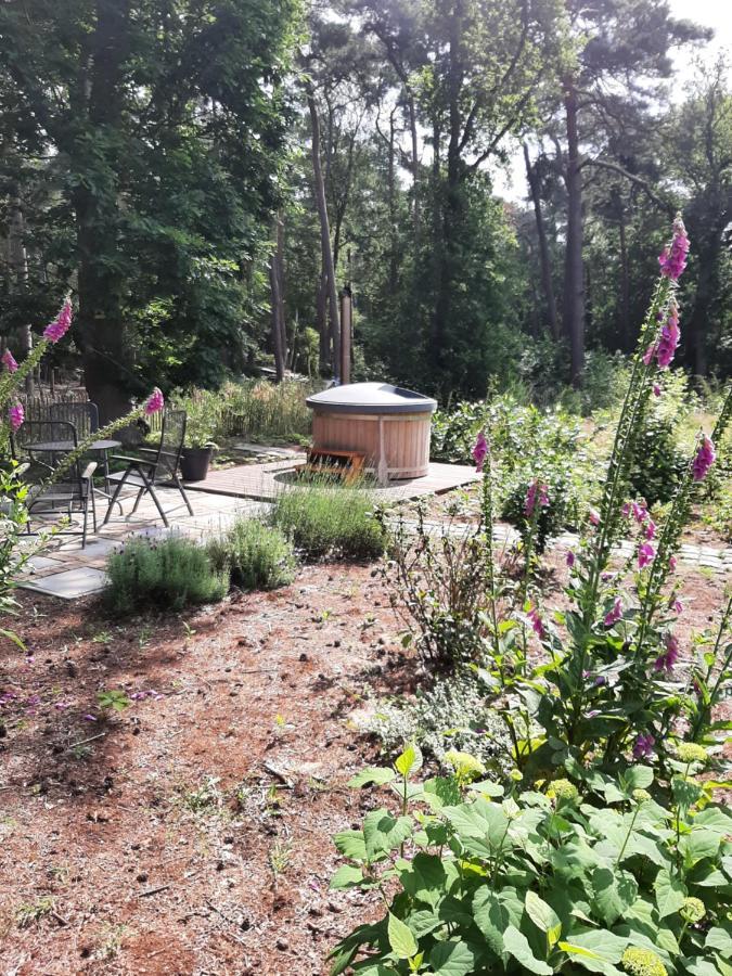 Vakantiehuis Met Hottub En Barrelsauna Ommen Extérieur photo
